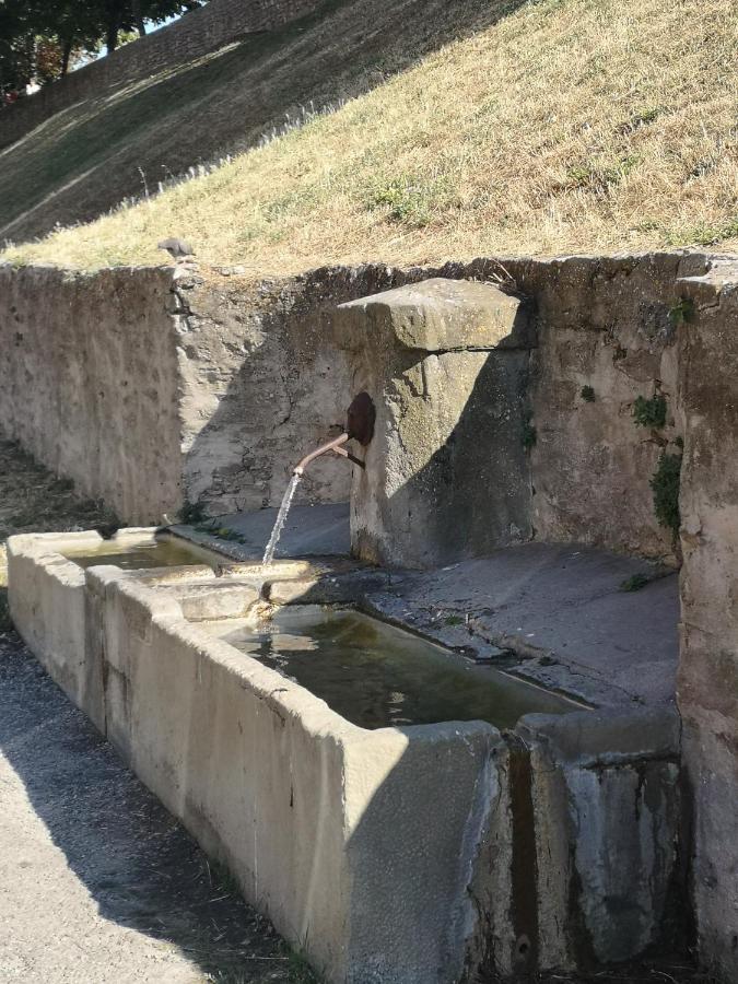 Un Petit Coin De France : A Cote De La Cite Medievale Appartement Carcassonne Buitenkant foto