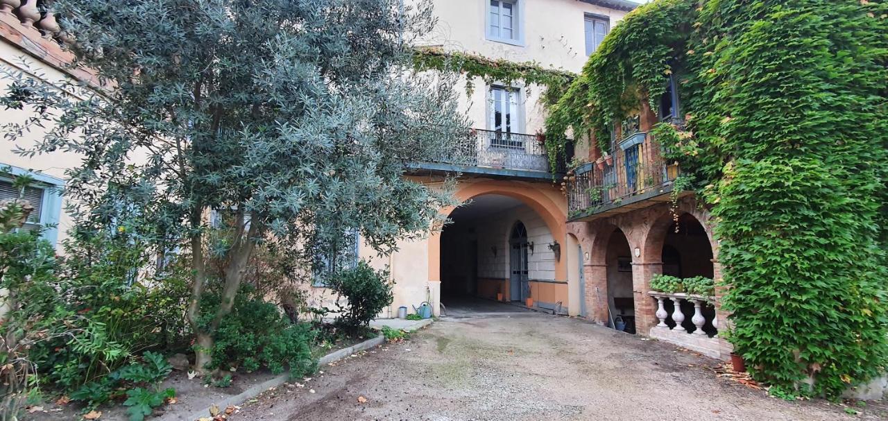 Un Petit Coin De France : A Cote De La Cite Medievale Appartement Carcassonne Buitenkant foto