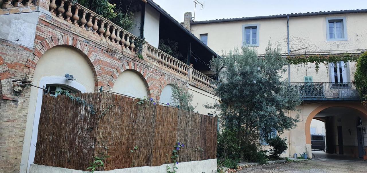 Un Petit Coin De France : A Cote De La Cite Medievale Appartement Carcassonne Buitenkant foto